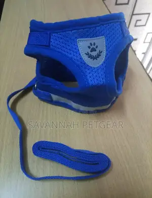 Mesh Dog Cat Harnesses With Leashes - Medium Size