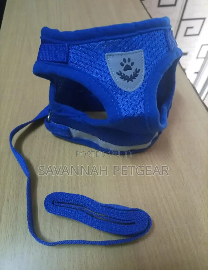 Mesh Dog Cat Harnesses With Leashes - Medium Size