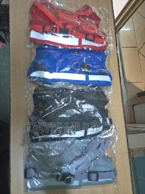 Mesh Dog Cat Harnesses With Leashes - Medium Size - thumbnail 4