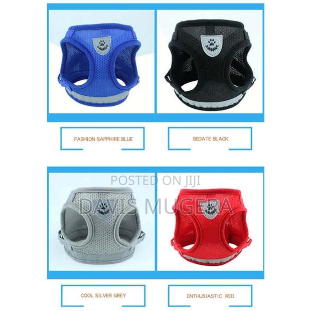Mesh Dog Cat Harnesses With Leashes - Medium Size - thumbnail 3