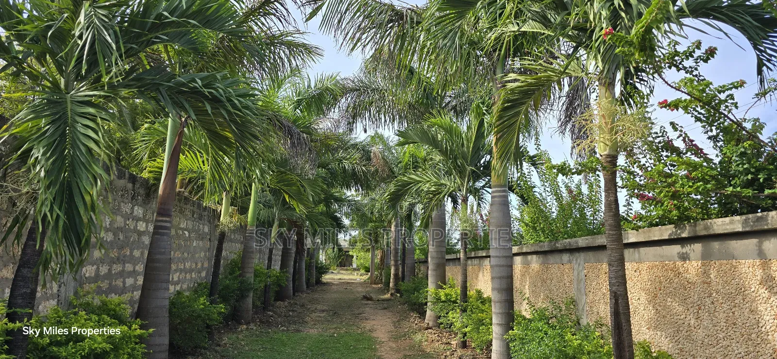 Second Row Prime 1/2 Acre Beach Plot for Sale in Kikambala