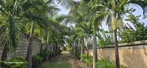 Second Row Prime 1/2 Acre Beach Plot for Sale in Kikambala