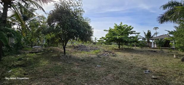 Second Row Prime 1/2 Acre Beach Plot for Sale in Kikambala - thumbnail 9