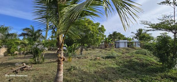 Second Row Prime 1/2 Acre Beach Plot for Sale in Kikambala - thumbnail 11