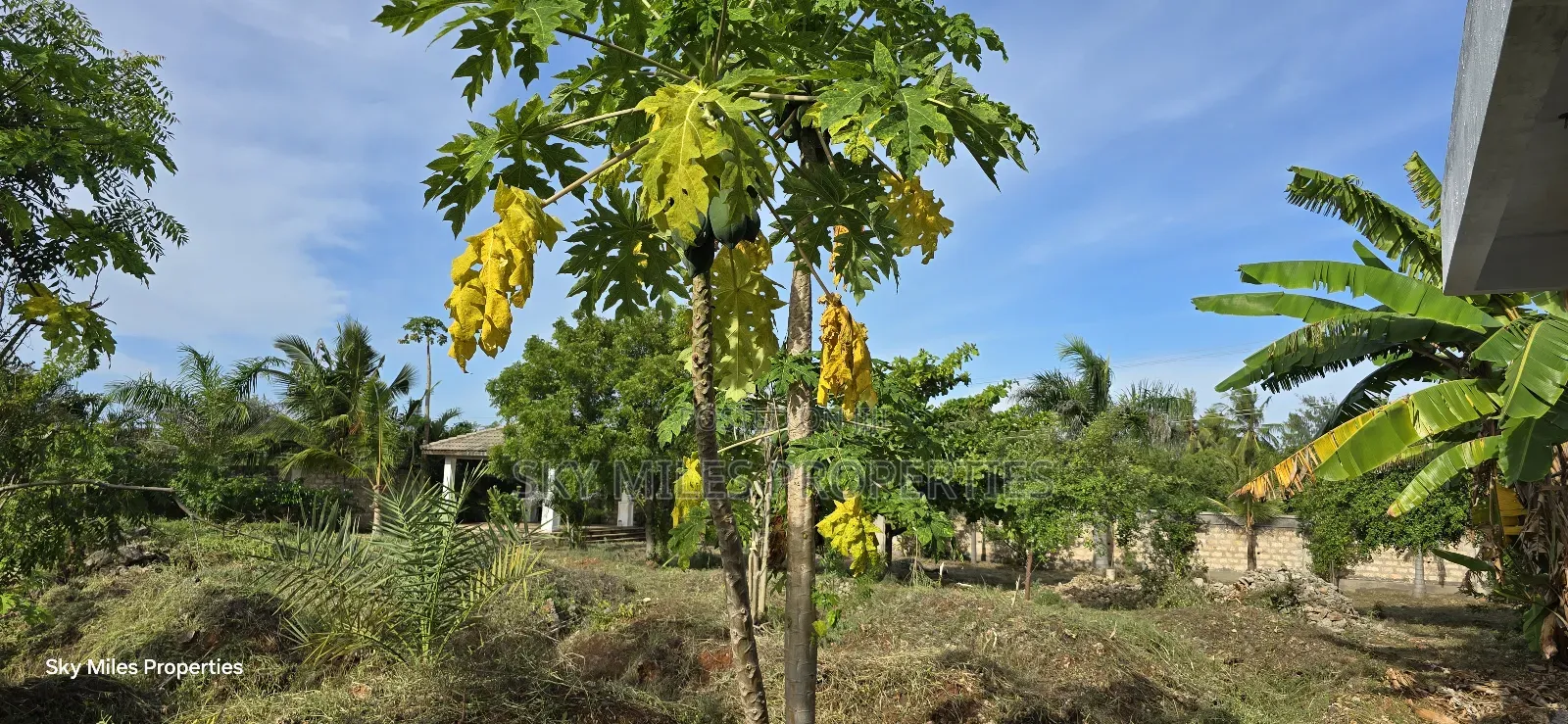 Second Row Prime 1/2 Acre Beach Plot for Sale in Kikambala