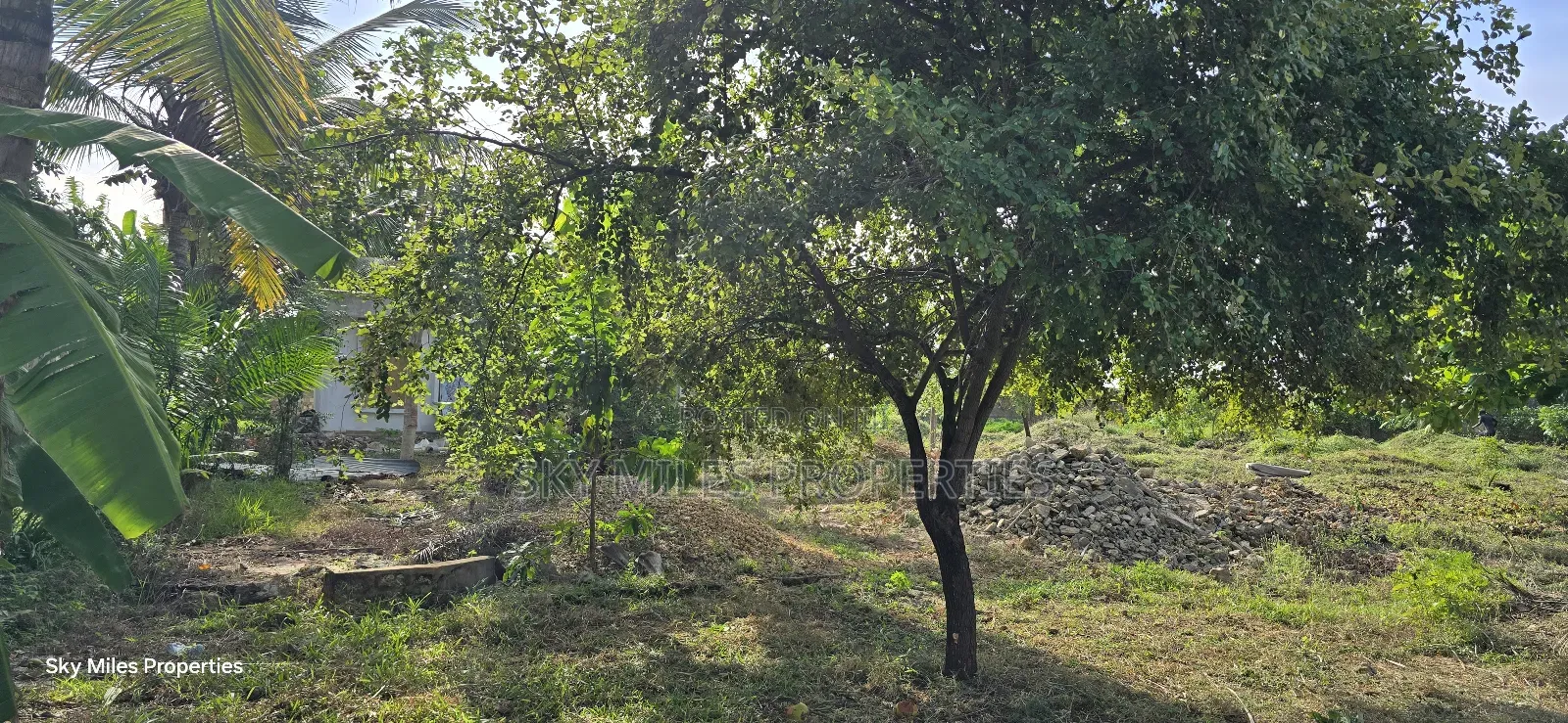 Second Row Prime 1/2 Acre Beach Plot for Sale in Kikambala
