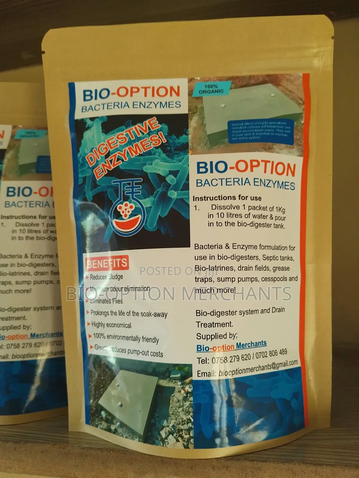 Bacteria Enzymes