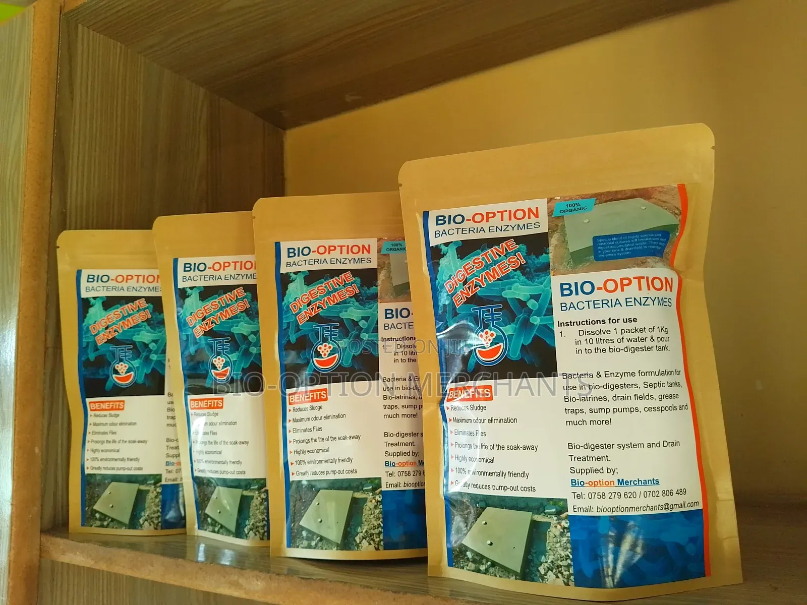 Bacteria Enzymes