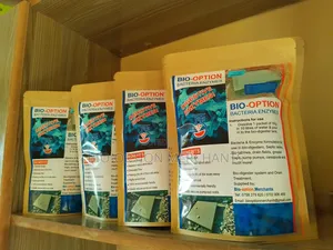 Bacteria Enzymes