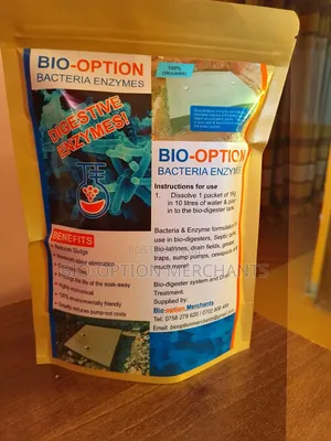 Bacteria Enzymes