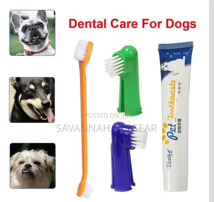 Dog Toothbrush Toothpaste Oral Dental Set - Beef Flavor