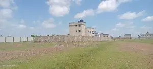 Prime Plot-Tola Ngoigwa