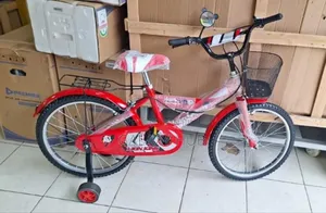 Lion King Size 20 Kids Sports Bike
