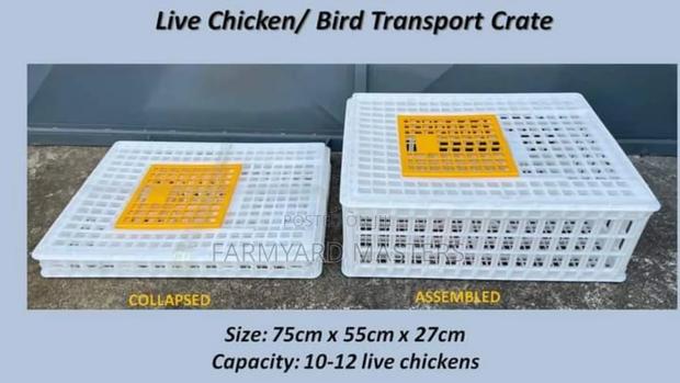 Live Chicken Transportation Crates - thumbnail 2