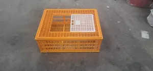 Live Chicken Transportation Crates