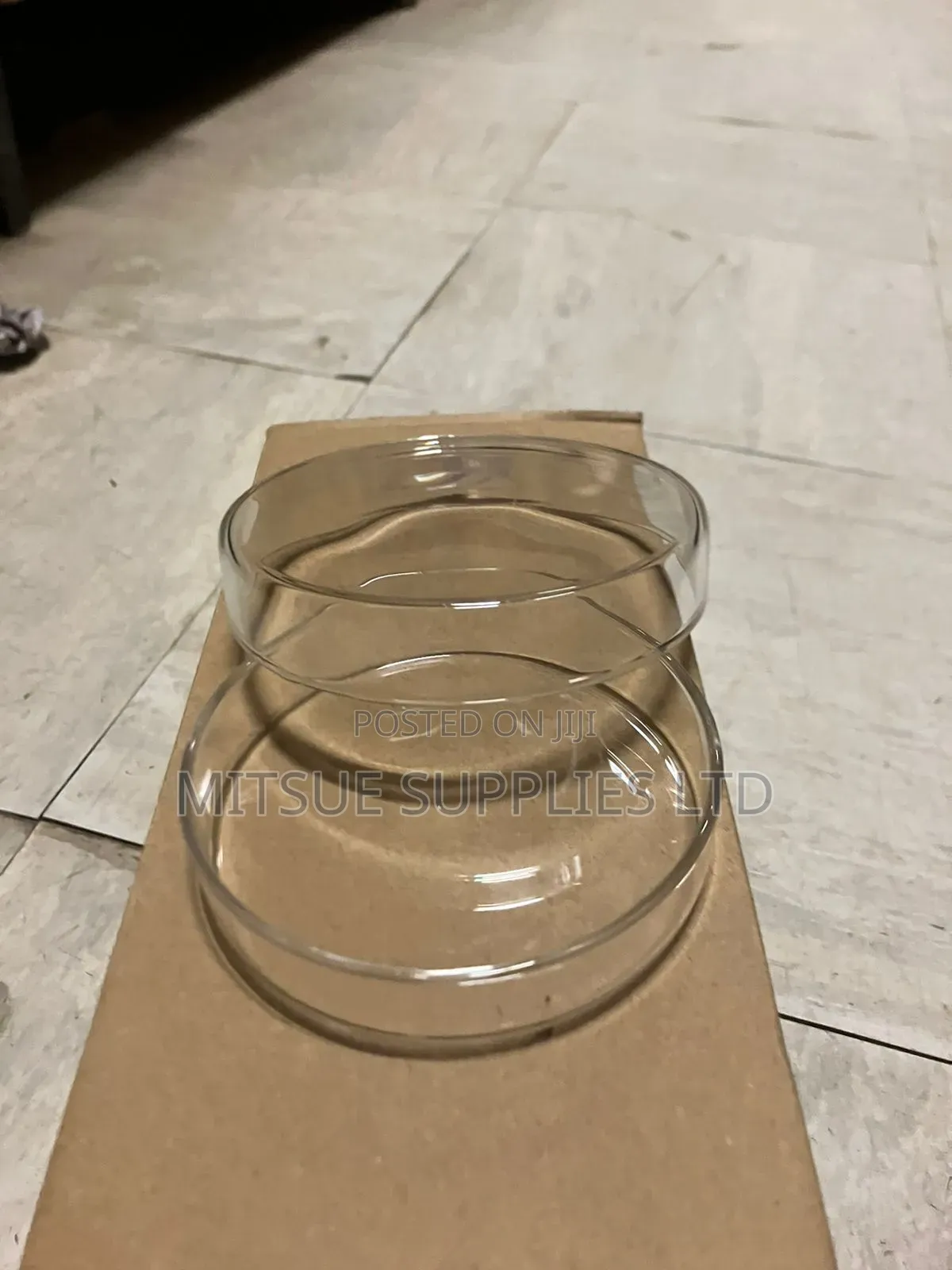 A Set of 10 Petri Dish 90mm Glass