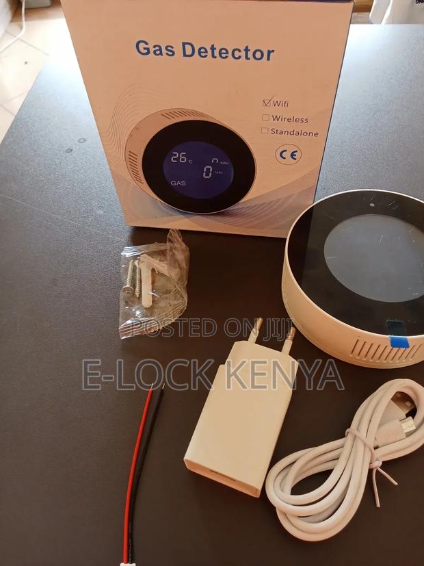 Real Working Gas Detector for Detecting - main view