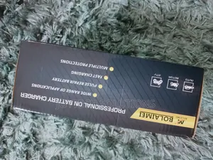 Original Hot Selling Professional Bolaimei 12-24v