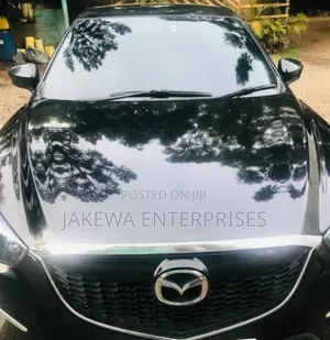Llumar Window Car Tint Film Professional