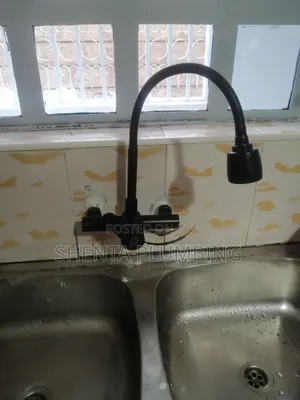 Professional Plumber