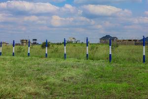 Avenue Court Phase 2 ^Pww - main view