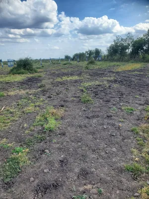 Prime Plots in Gikumari ^Pww