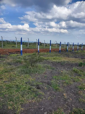 Prime Plots in Gikumari ^Pww