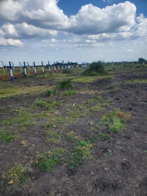 Prime Plots in Gikumari ^Pww