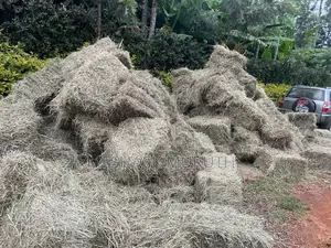 Boma Rhodes Hay