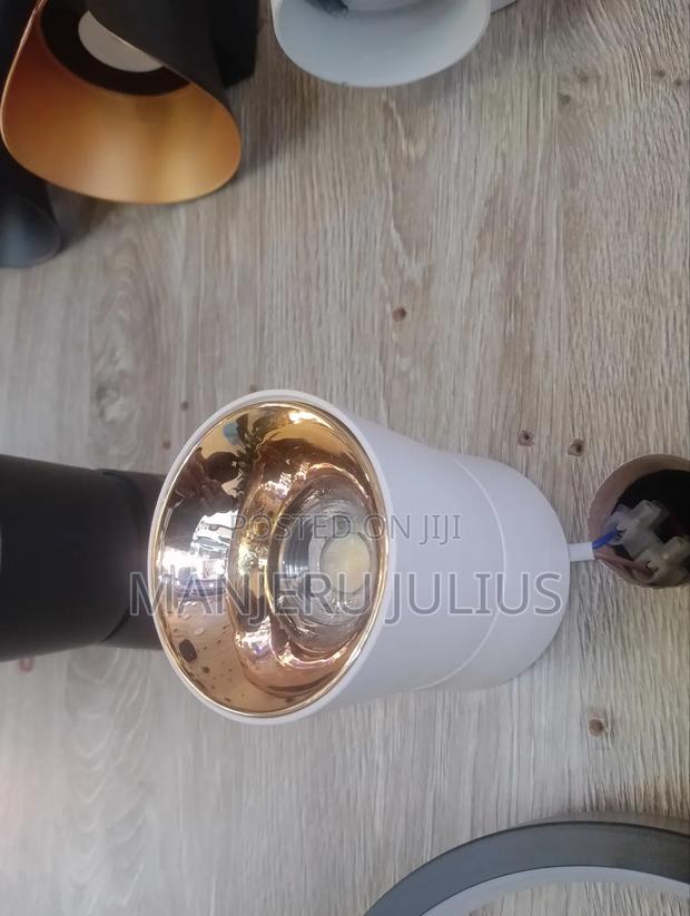 Tiltable Surface Down Lighter - thumbnail 4