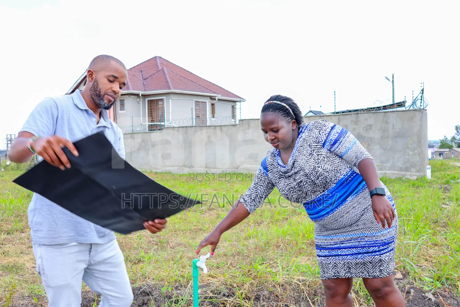 Prime Plots in Malaa ^KK