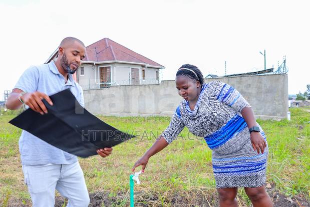 Prime Plots in Malaa ^KK - thumbnail 3