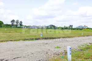 Prime Plots in Malaa ^KK