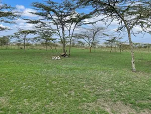 Isinya Prime Land for Sale