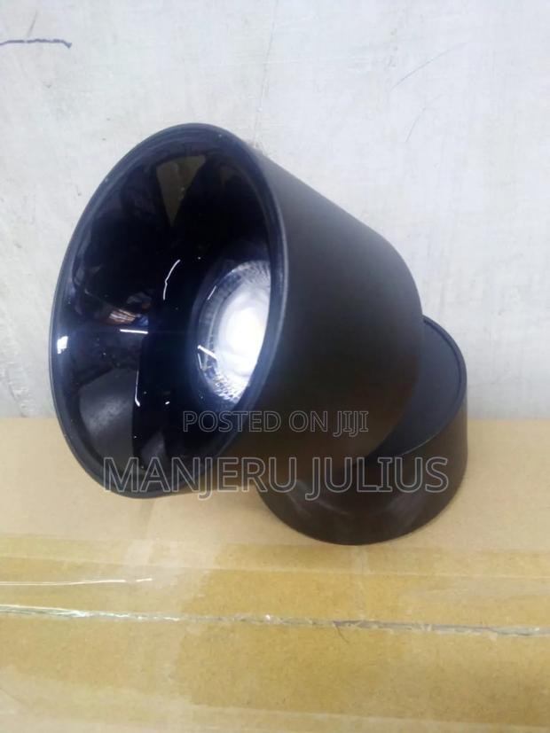 Tiltable Surface Down Lighter