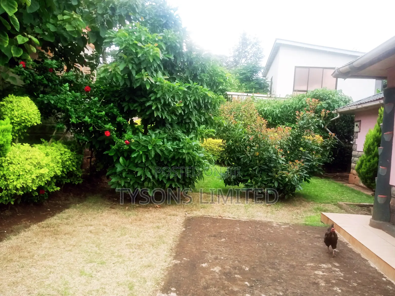 3bdrm Bungalow in Kibiko, Kibiku for sale