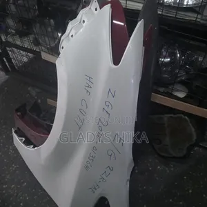 Ex Japan Fenders for Wish on Sale