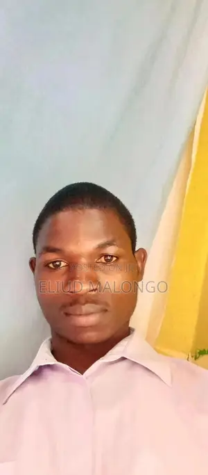 Professional Driver