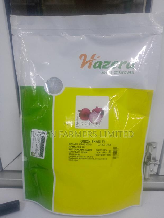 Shani F1 Onion Seeds 500gms