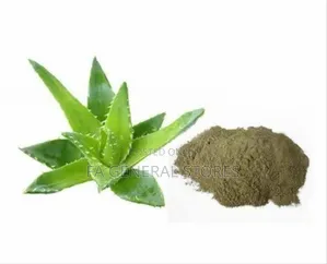 Aloe Vera Powder,Gel,Extract,Oil,Juice.