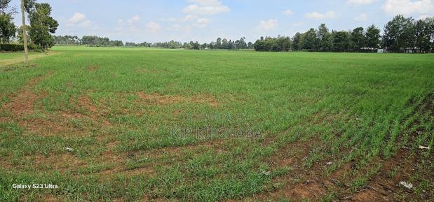 8 Acres Prime Land for Sale in Sogomo Chepkoilel in Eldoret