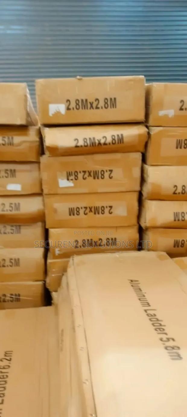 Double Telescopic Ladders - main view