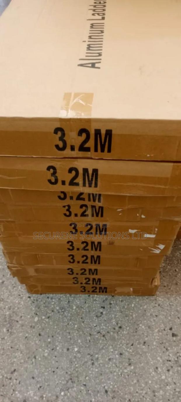 Single Telescopic Ladder - main view