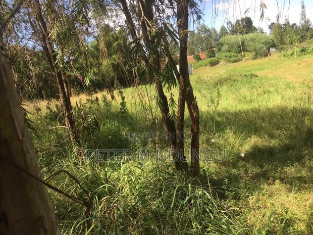 Thome Residential Plot on Sale - thumbnail 4