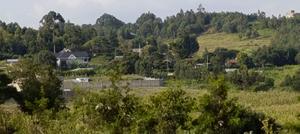 Kamangu 50x100 Plot for Sale - thumbnail 2