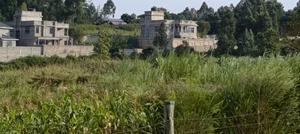 50x100ft Residential Plots in Kamangu Kikuyu - thumbnail 2
