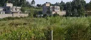 50x100ft Residential Plots in Kamangu Kikuyu