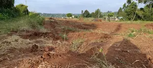 Affordable 50x100 Prime Plots in Kamangu Kikuyu