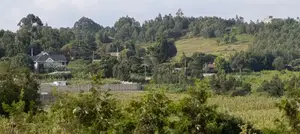 50x100 Land for Sale in Kamangu Kikuyu