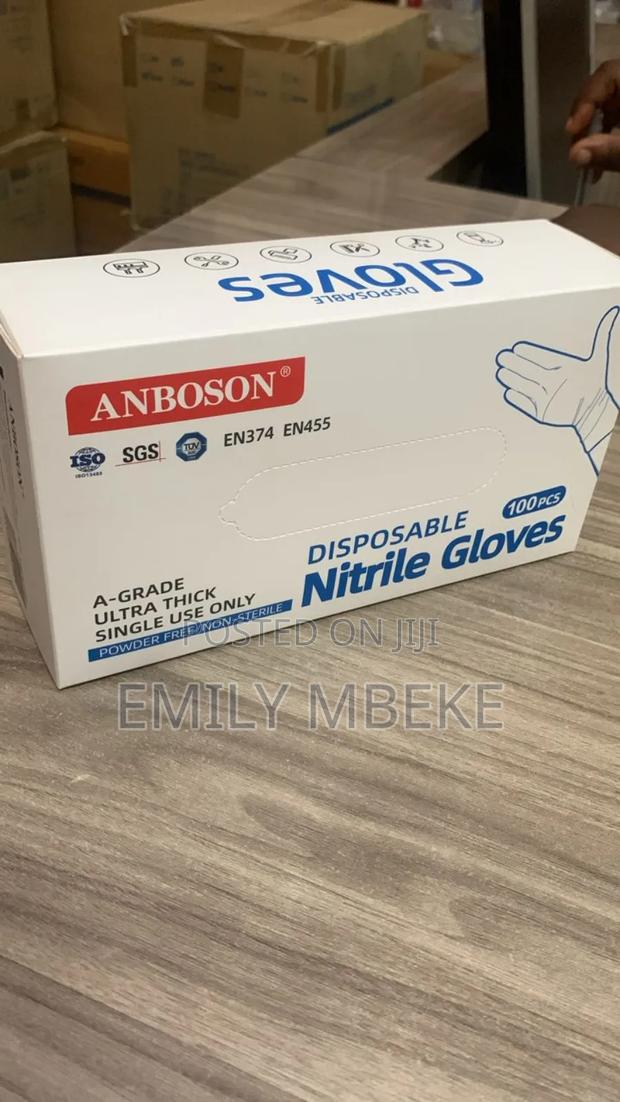 Large Nitrile Gloves - main view
